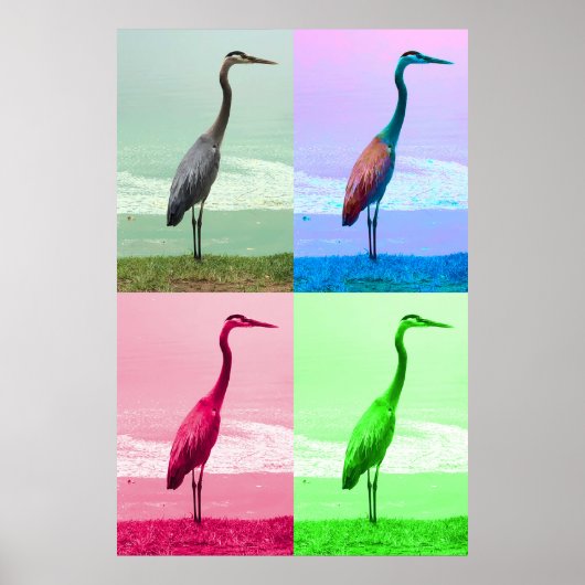 Reiger aan de waterkant poster (Voorkant)