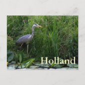 Reiger Briefkaart (Voorkant)