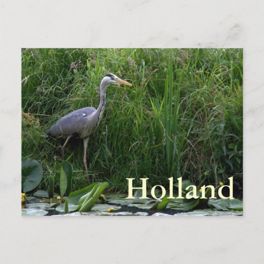 Reiger Briefkaart (Voorkant)