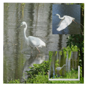 Reiger Collage Keramische Tegels Tegeltje
