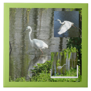 Reiger Collage Klant. Randkleur Keramische Tegels Tegeltje