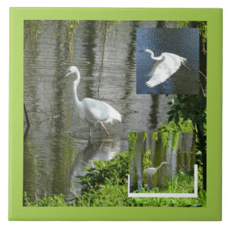 Reiger Collage Klant. Randkleur Keramische Tegels Tegeltje