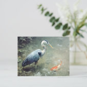Reiger en levendige Koi vissen Briefkaart (Staand voorkant)
