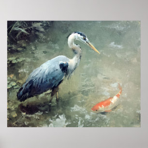 Reiger en levendige Koi vissen Poster