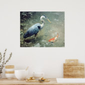 Reiger en levendige Koi vissen Poster (Keuken)