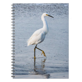 Reiger Fijne Kunst Foto Notitieboek