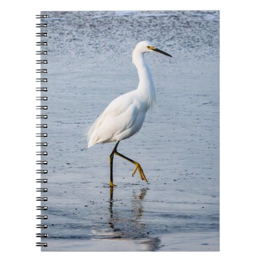 Reiger Fijne Kunst Foto Notitieboek (Voorkant)
