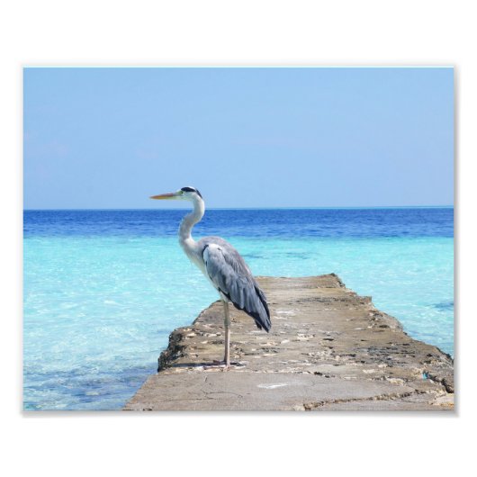 Reiger Foto Afdruk (Voorkant)