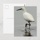Reiger Foto Briefkaart (Voorkant / Achterkant)