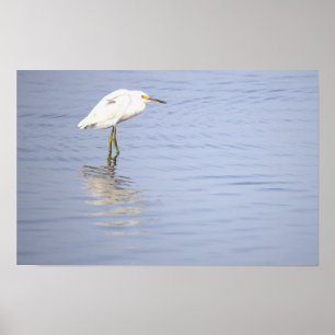 Reiger Foto Poster