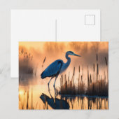 Reiger in een nevelige moeras bij zonsopgang briefkaart (Voorkant / Achterkant)