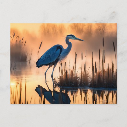 Reiger in een nevelige moeras bij zonsopgang briefkaart (Voorkant)