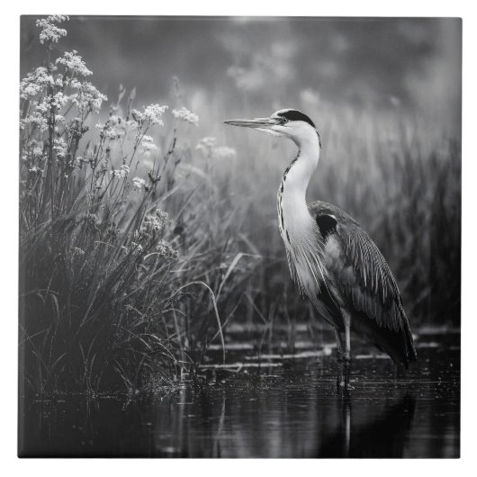 Reiger in het moeras Zwart en Wit Tegeltje (Voorkant)