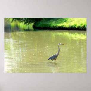 REIGER IN VIJVER/ SCHAKERINGEN GROEN/GEEL/ FOTO. POSTER
