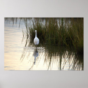 Reiger in Water Poster
