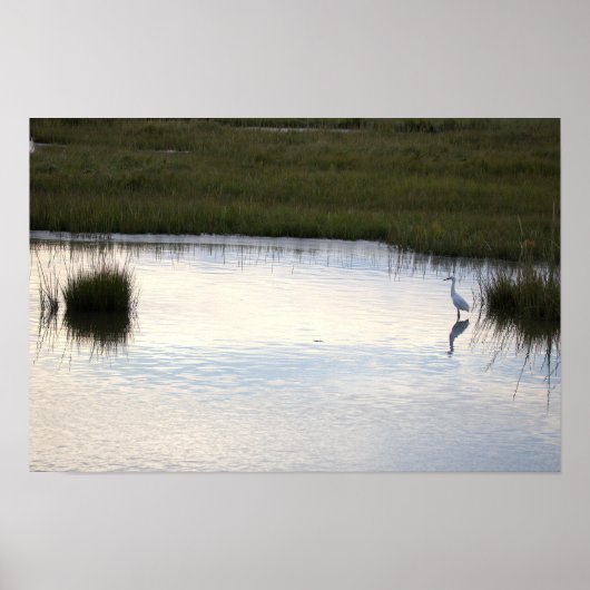Reiger in Water Poster (Voorkant)
