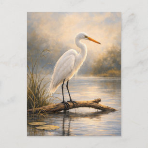 Reiger   Kustwildlife   Ansichtkaart Briefkaart