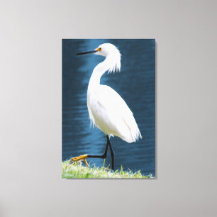 Reiger Muur Kunst Minimalistisch Natuur Kust Canvas Afdruk