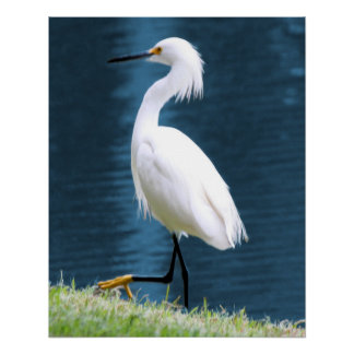 Reiger Muur Kunst Minimalistisch Natuur Kust Perfect Poster