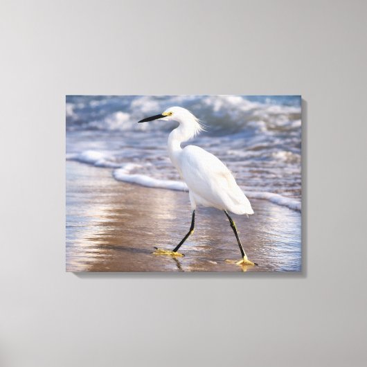 Reiger op oever Canvas Afdruk (Voorkant)