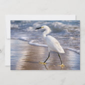 Reiger op oever kaart (Voorkant)