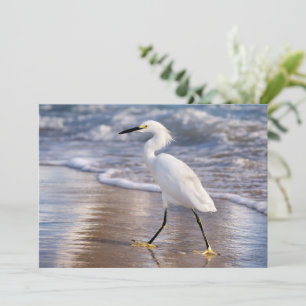Reiger op oever kaart