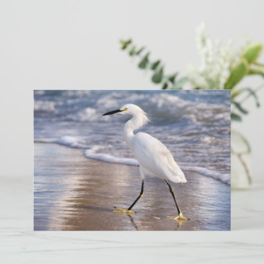 Reiger op oever kaart (Staand voorkant)