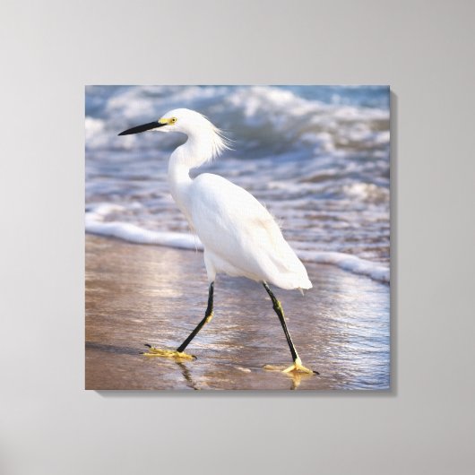 Reiger op strand Canvas Afdruk (Voorkant)