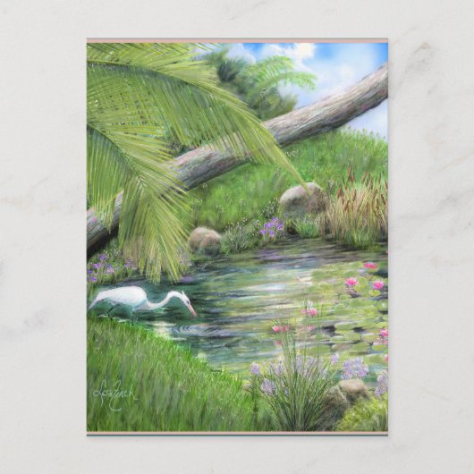 Reiger op vijver briefkaart (Voorkant)