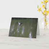 Reiger over het Stille Wenskaart van Wateren Kaart (Gele Bloem)