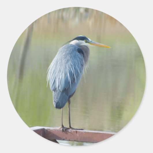 reiger sticker (Voorkant)