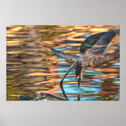 Reiger vissen bij het meer poster (Voorkant)