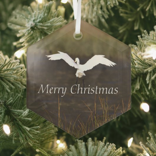 Reiger vliegende glazen ornament (Insitu)