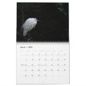 Reiger Vogel 2027 Kalender (Mar 2027)