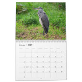 Reiger Vogel 2027 Kalender (Jan 2027)