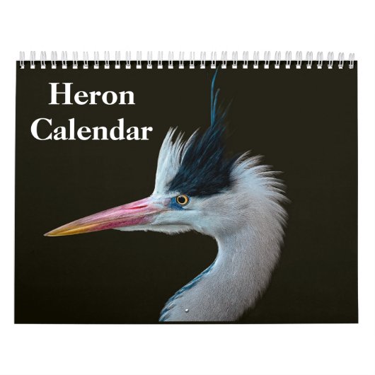 Reiger Vogel 2027 Kalender (Hoes)