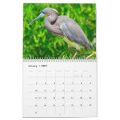 Reiger Vogel 2027 Kalender (Jan 2027)