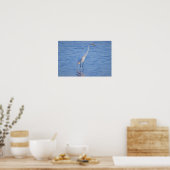 Reiger Vogel Foto Poster (Keuken)