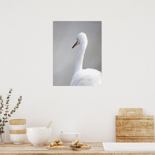 Reiger Vogel Poster (Keuken)