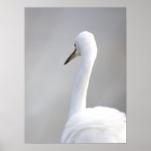 Reiger Vogel Poster (Voorkant)