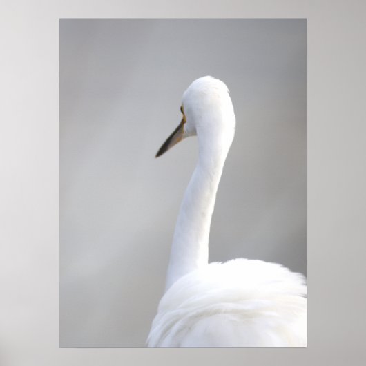 Reiger Vogel Poster (Voorkant)