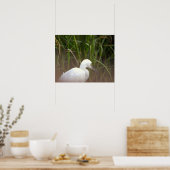 Reiger Vogel Poster (Keuken)