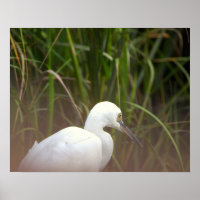 Reiger Vogel Poster