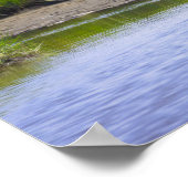 Reiger Waterlandschap Poster (Hoek)