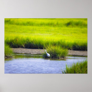 Reiger Waterlandschap Poster