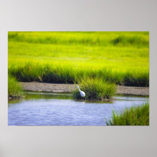 Reiger Waterlandschap Poster (Voorkant)