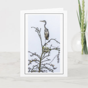 Reiger wenskaart kaart