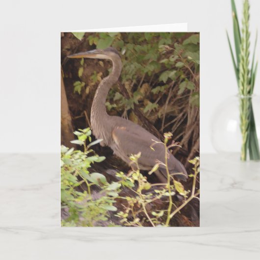 Reiger zittend onder een boom langs de rivier kaart (Voorkant)