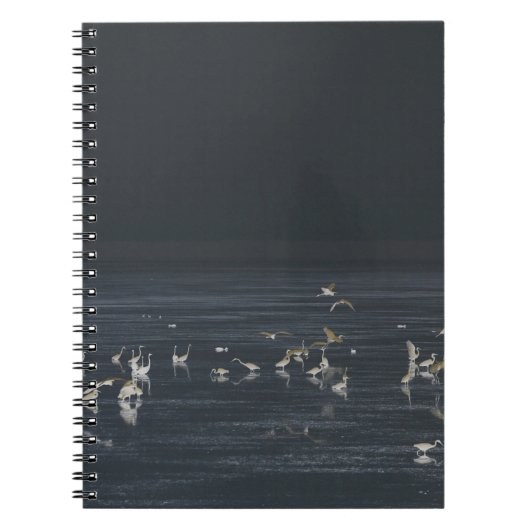 Reigers in de diepblauwe oceaan notitieboek (Voorkant)