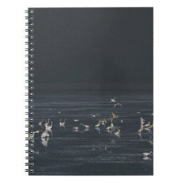 Reigers In De Middernachtblauwe Oceaan Notitieboek